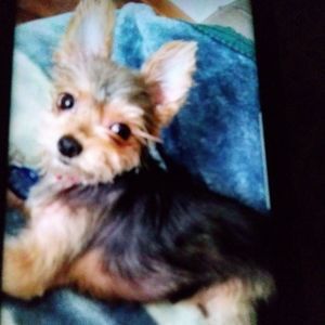 Meet your Posher, Christine